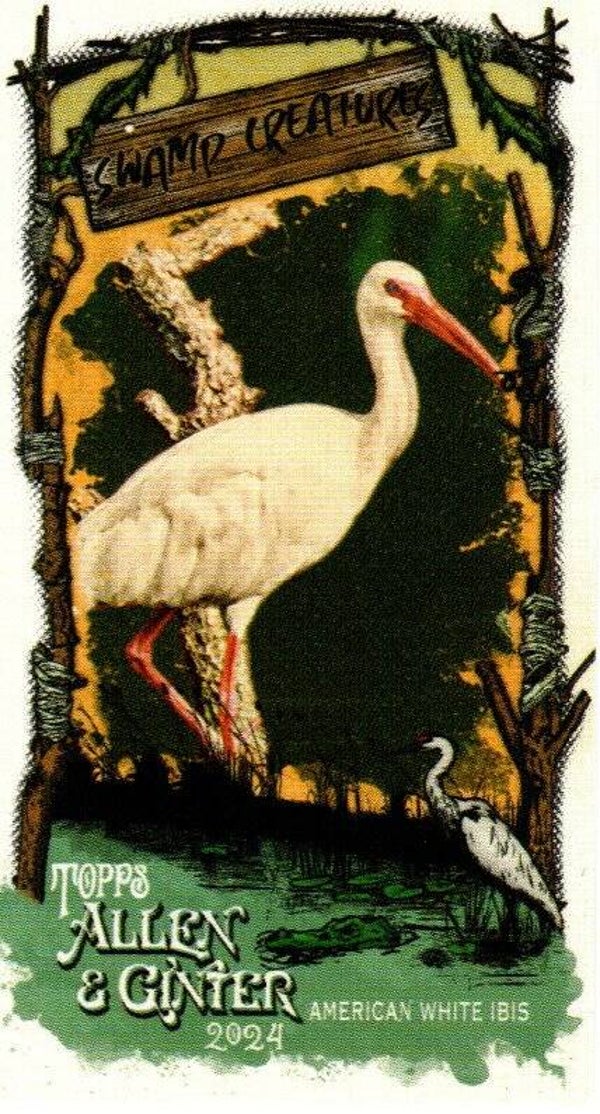Allen & Ginter 2024 Mini Swamp Creatures #SC-4 American White Ibis