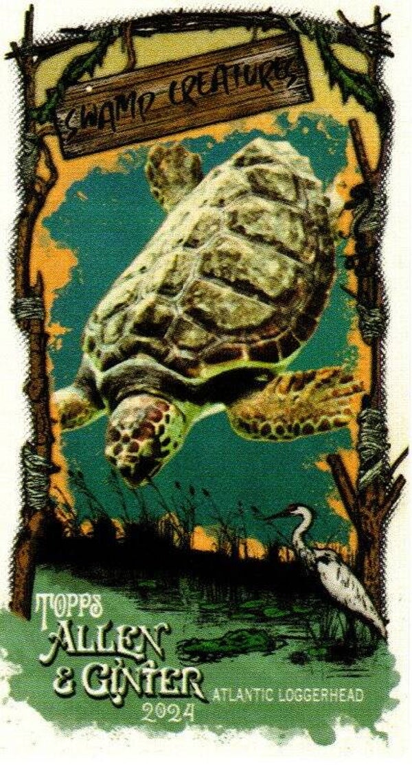 Allen & Ginter 2024 Mini Swamp Creatures #SC-9 Atlantic Loggerhead