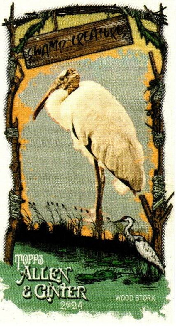 Allen & Ginter 2024 Mini Swamp Creatures #SC-14 Wood Stork