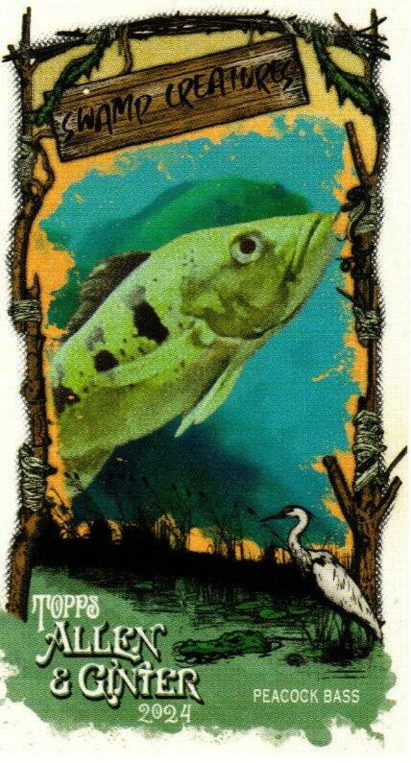 Allen & Ginter 2024 Mini Swamp Creatures #SC-23 Peacock Bass