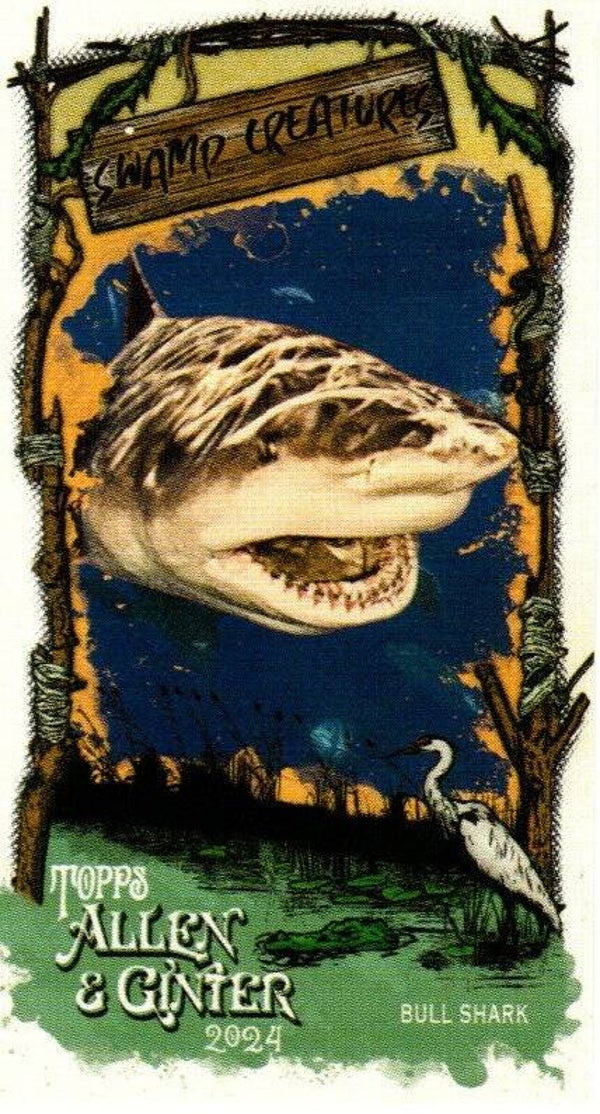 Allen & Ginter 2024 Mini Swamp Creatures #SC-24 Bull Shark