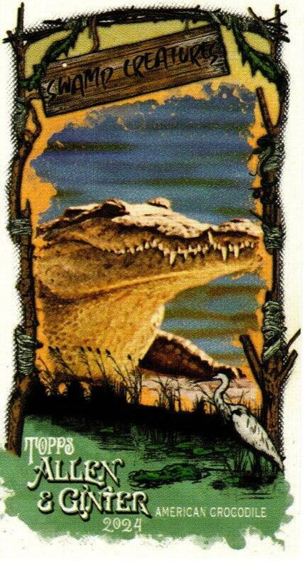 Allen & Ginter 2024 Mini Swamp Creatures #SC-25 American Crocodile