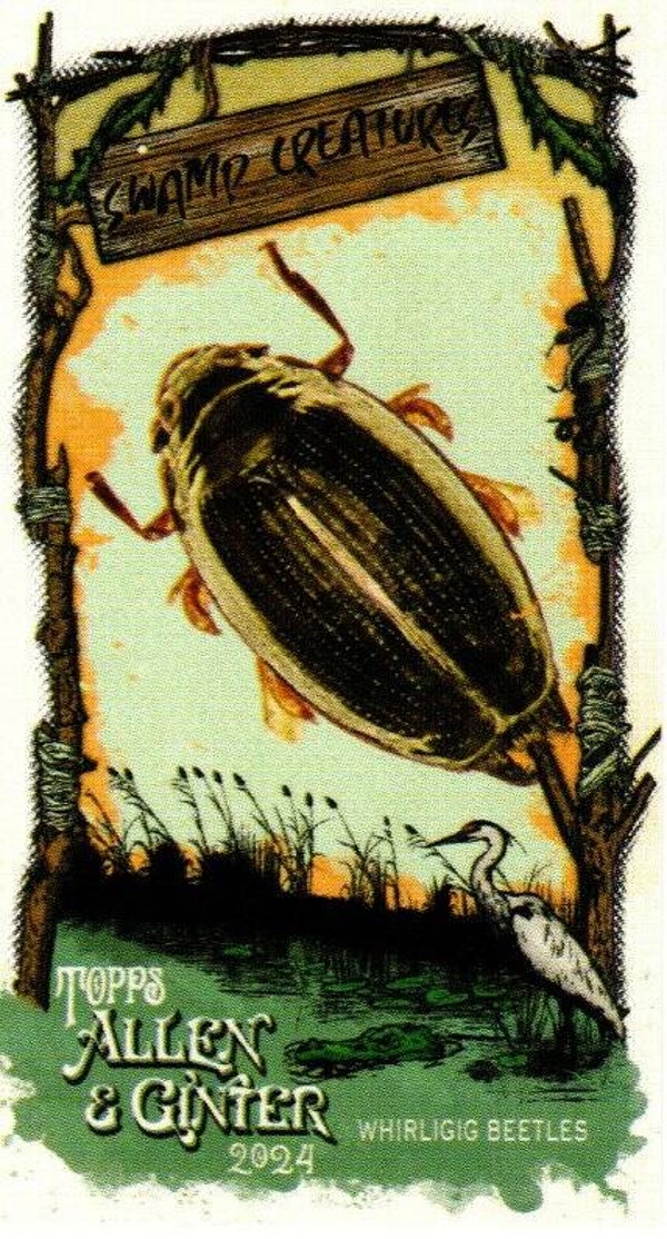 Allen & Ginter 2024 Mini Swamp Creatures #SC-29 Whirligig Beetles
