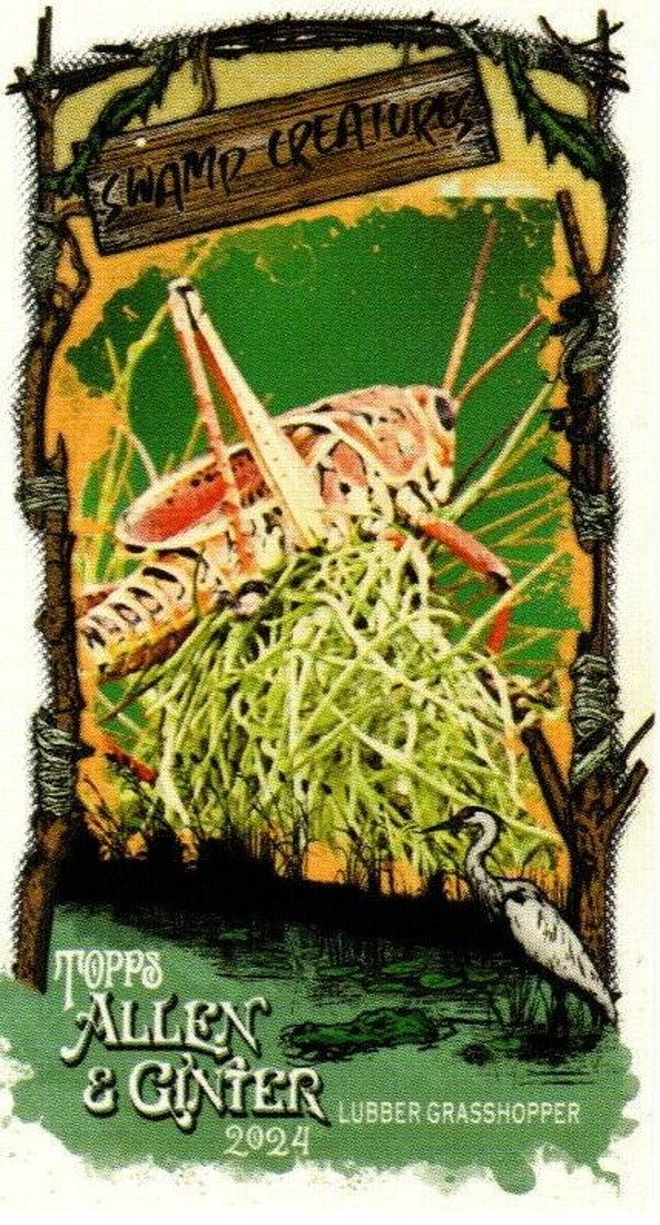 Allen & Ginter 2024 Mini Swamp Creatures #SC-30 Lubber Grasshopper