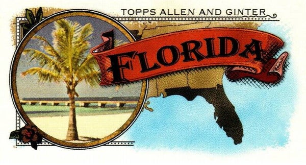Allen & Ginter 2024 Mini 50 States #50S-9 Florida