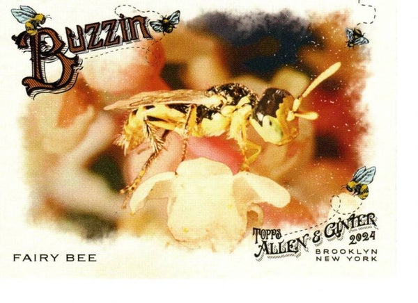 Allen & Ginter 2024 Buzzin' #BUZ-11 Fairy Bee