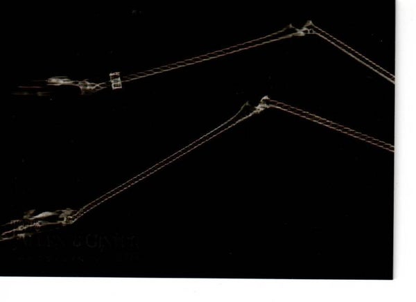 Allen & Ginter 2024 X-Ray'd #XR-16 Greater Flamingo Legs