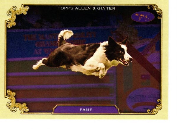 Allen & Ginter 2024 Westminster Kennel Club #SOS-1 Fame