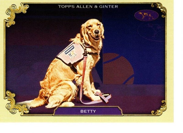 Allen & Ginter 2024 Westminster Kennel Club #SOS-5 Betty