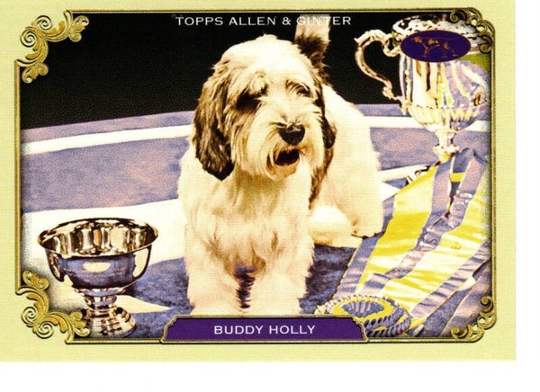 Allen & Ginter 2024 Westminster Kennel Club #SOS-10 Buddy Holly