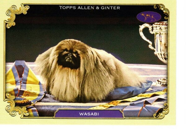 Allen & Ginter 2024 Westminster Kennel Club #SOS-12 Wasabi