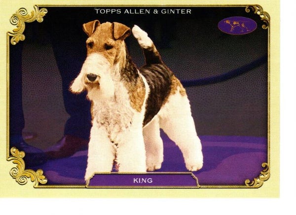 Allen & Ginter 2024 Westminster Kennel Club #SOS-14 King