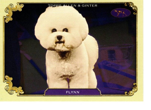 Allen & Ginter 2024 Westminster Kennel Club #SOS-15 Flynn