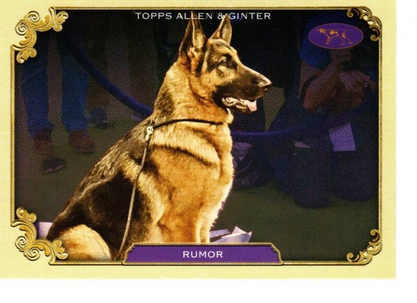 Allen & Ginter 2024 Westminster Kennel Club #SOS-16 Rumor
