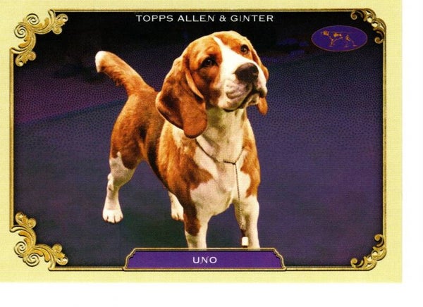 Allen & Ginter 2024 Westminster Kennel Club #SOS-20 Uno