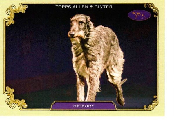 Allen & Ginter 2024 Westminster Kennel Club #SOS-21 Hickory