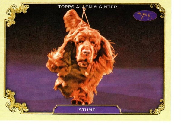 Allen & Ginter 2024 Westminster Kennel Club #SOS-22 Stump
