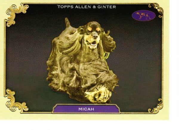 Allen & Ginter 2024 Westminster Kennel Club #SOS-28 Micah