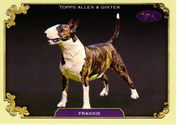 Allen & Ginter 2024 Westminster Kennel Club #SOS-29 Frankie