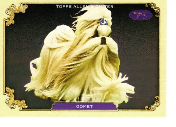 Allen & Ginter 2024 Westminster Kennel Club #SOS-30 Comet