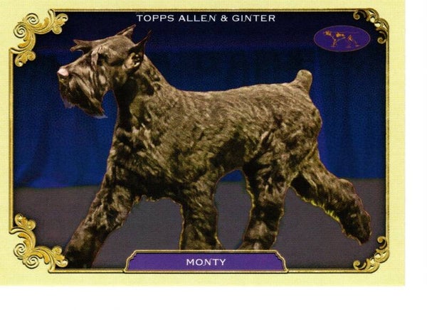 Allen & Ginter 2024 Westminster Kennel Club #SOS-31 Monty