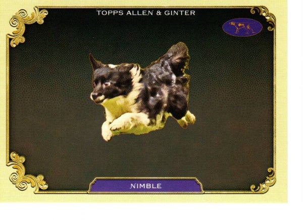 Allen & Ginter 2024 Westminster Kennel Club #SOS-34 Nimble