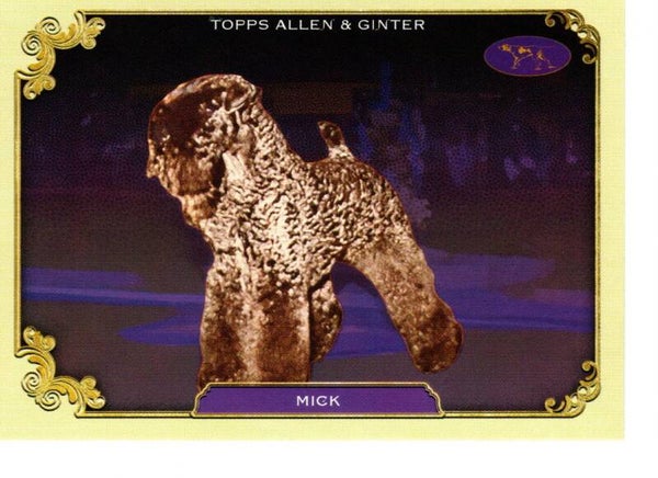 Allen & Ginter 2024 Westminster Kennel Club #SOS-36 Mick