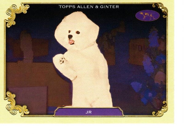 Allen & Ginter 2024 Westminster Kennel Club #SOS-38 Jr