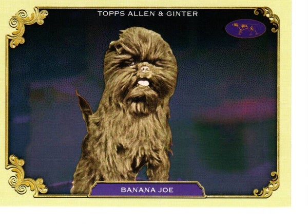 Allen & Ginter 2024 Westminster Kennel Club #SOS-40 Banana Joe
