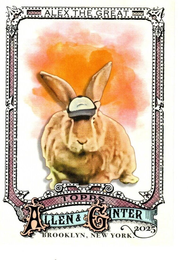 Allen & Ginter 2025 #230 Alex the Great