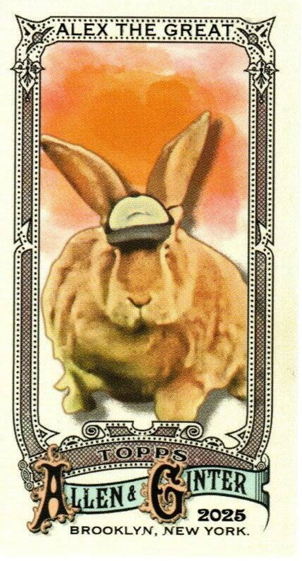 Allen & Ginter 2025 Mini A&G Back #230 Alex the Great