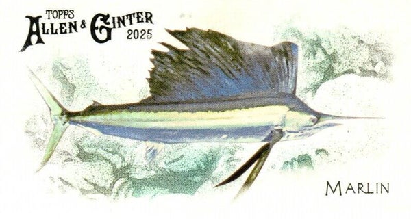 Allen & Ginter 2025 Mini #FGW-3 Marlin 50 Fishes Global Waters Mini