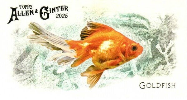 Allen & Ginter 2025 Mini #FGW-5 Goldfish 50 Fishes Global Waters Mini