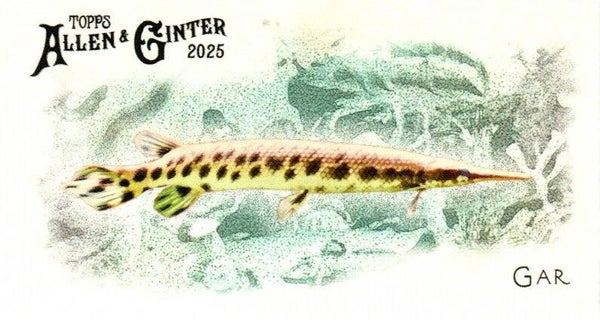 Allen & Ginter 2025 Mini #FGW-33 Gar 50 Fishes Global Waters Mini