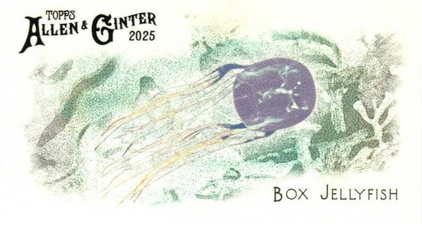 Allen & Ginter 2025 Mini #FGW-40 Box Jellyfish 50 Fishes Global Waters Mini