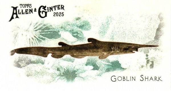Allen & Ginter 2025 Mini #FGW-41 Goblin Shark 50 Fishes Global Waters Mini