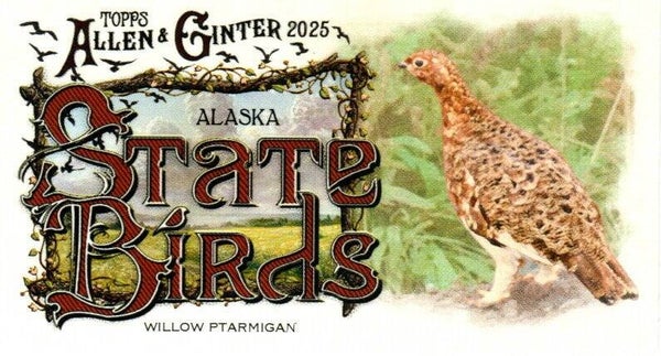 Allen & Ginter 2025 Mini #SB-2 Willow Ptarmigan (Alaska) - Mini State Birds