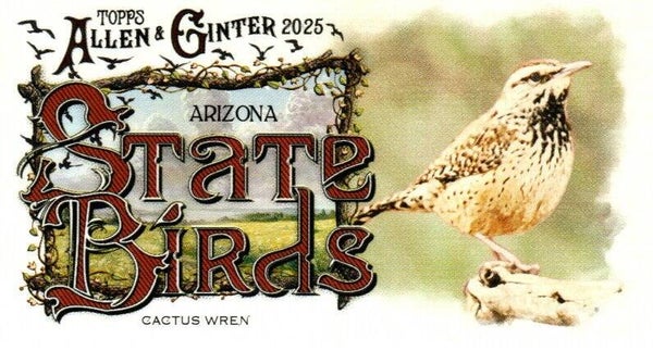 Allen & Ginter 2025 Mini #SB-3 Cactus Wren (Arizona) - Mini State Birds