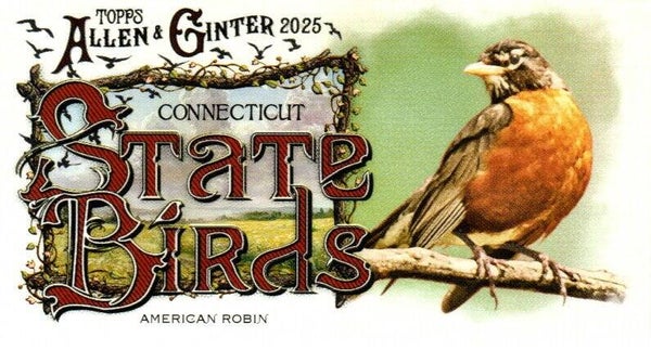Allen & Ginter 2025 Mini #SB-7 American Robin (Connecticut) - Mini State Birds