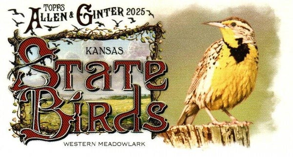 Allen & Ginter 2025 Mini #SB-16 Western Meadowlark (Kansas) - Mini State Birds