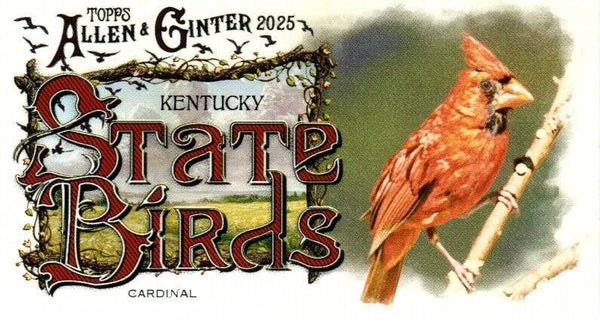 Allen & Ginter 2025 Mini #SB-17 Cardinal (Kentucky) - Mini State Birds