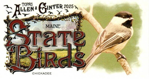Allen & Ginter 2025 Mini #SB-19 Chickadee (Maine) - Mini State Birds