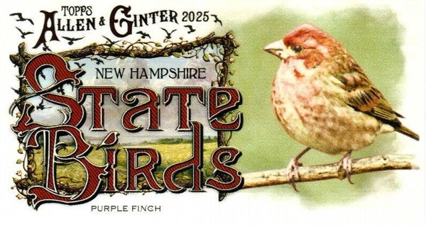 Allen & Ginter 2025 Mini #SB-29 Purple Finch (New Hampshire) - Mini State Birds