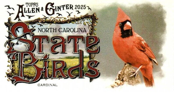 Allen & Ginter 2025 Mini #SB-33 Cardinal (North Carolina) - Mini State Birds