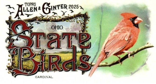 Allen & Ginter 2025 Mini #SB-35 Cardinal (Ohio)- Mini State Birds