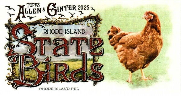 Allen & Ginter 2025 Mini #SB-39 Rhode Island Red (Rhode Island) - Mini State Birds
