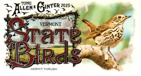 Allen & Ginter 2025 Mini #SB-45 Hermit Thrush (Vermont) - Mini State Birds