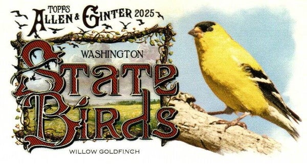 Allen & Ginter 2025 Mini #SB-47 Willow Goldfinch (Washington) - Mini State Birds