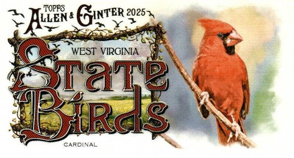 Allen & Ginter 2025 Mini #SB-48 Cardinal (West Virginia) - Mini State Birds