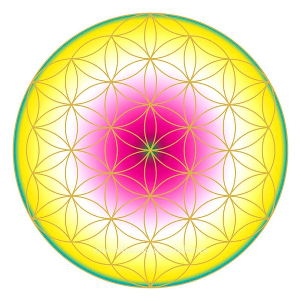 Blume des Lebens 114